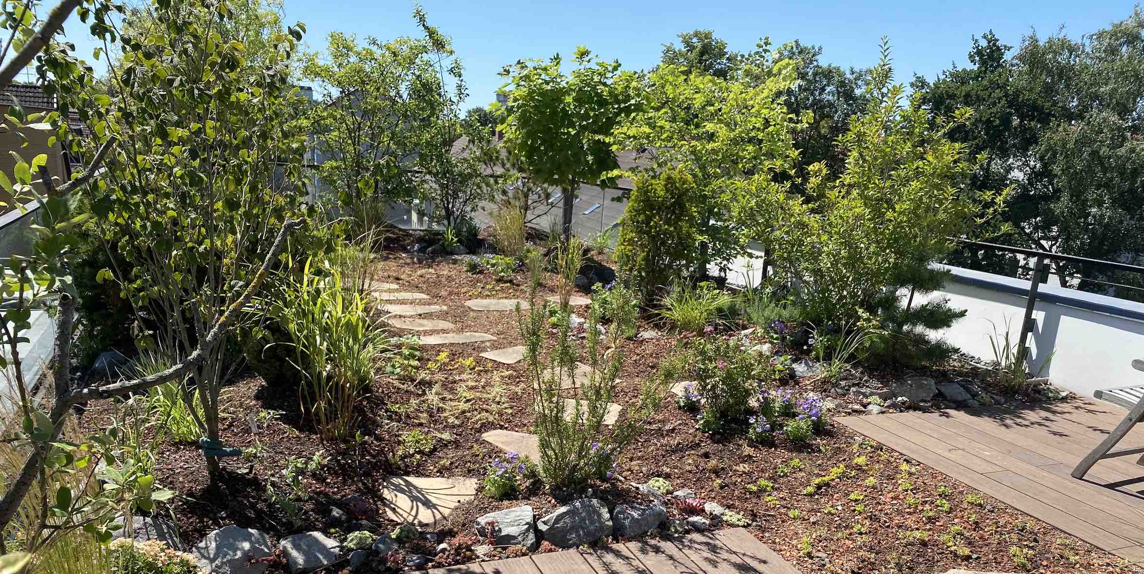 Dachgärten - Garten und Landschaftsbau in Hannover